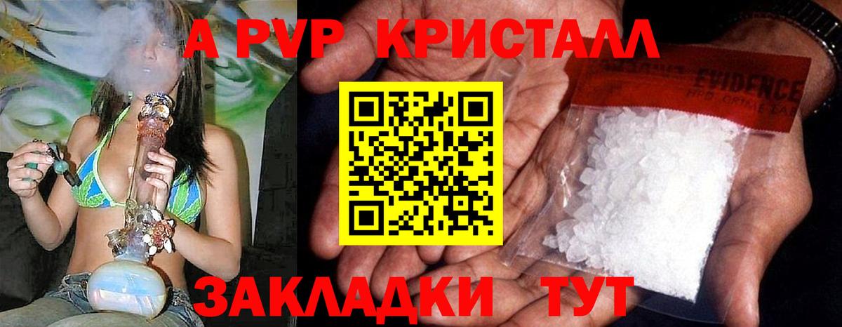 Alfa_PVP крисы CK Ачхой-Мартан