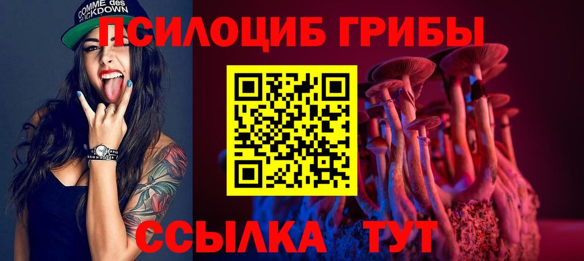 Галлюциногенные грибы Psilocybe  Псилоцибиновые грибы Psilocybine cubensis  Вход с VPN  Ачхой-Мартан 